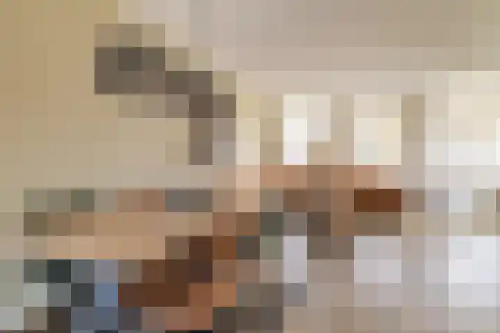 Hondsdraf 1 Vroomshoop thumbnail 13