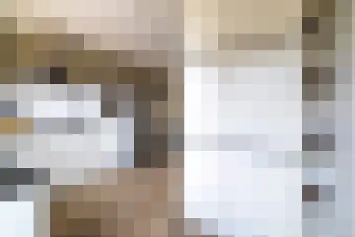 Hondsdraf 1 Vroomshoop thumbnail 15