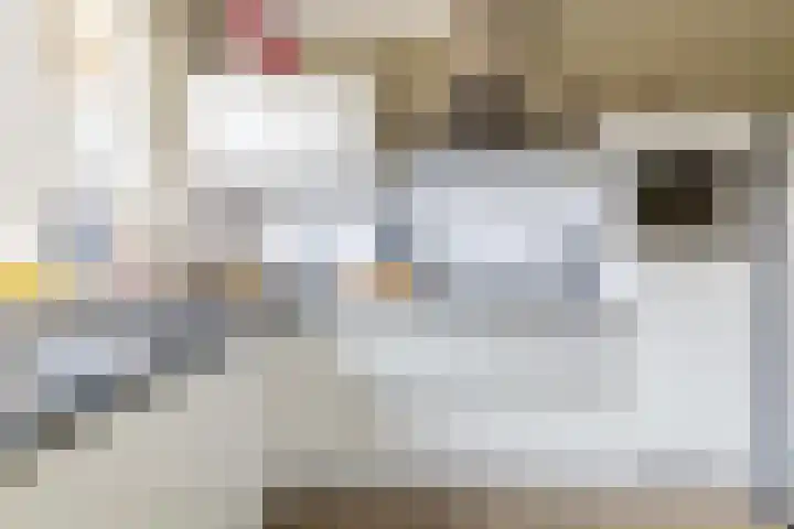 Hondsdraf 1 Vroomshoop thumbnail 17