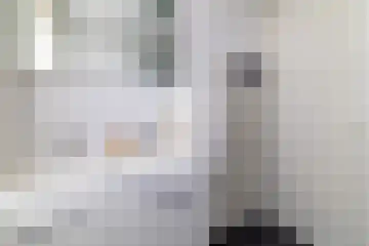 Hondsdraf 1 Vroomshoop thumbnail 20