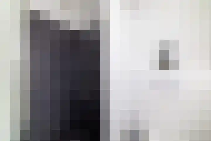 Hondsdraf 1 Vroomshoop thumbnail 22
