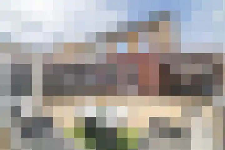 Hondsdraf 1 Vroomshoop thumbnail 29