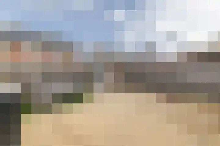 Hondsdraf 1 Vroomshoop thumbnail 31