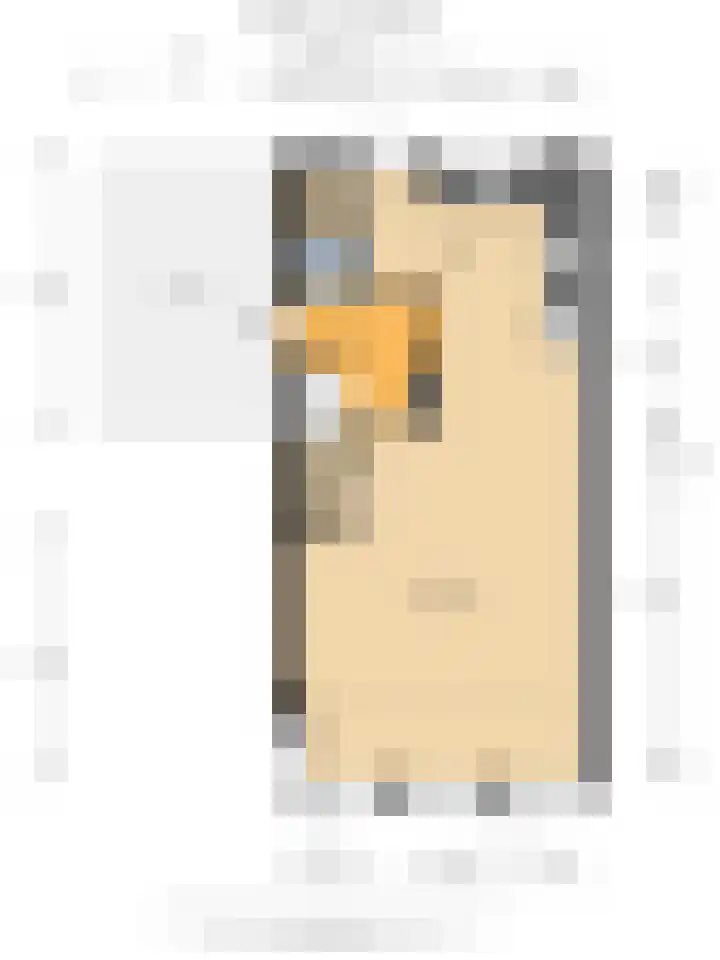Hondsdraf 1 Vroomshoop thumbnail 37