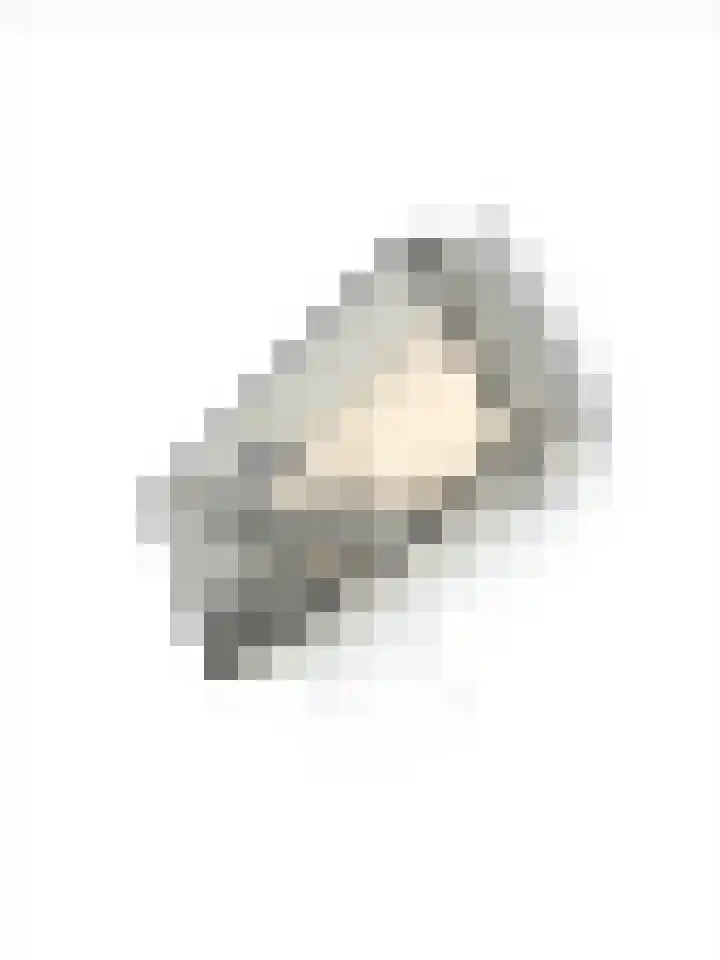 Hondsdraf 1 Vroomshoop thumbnail 38