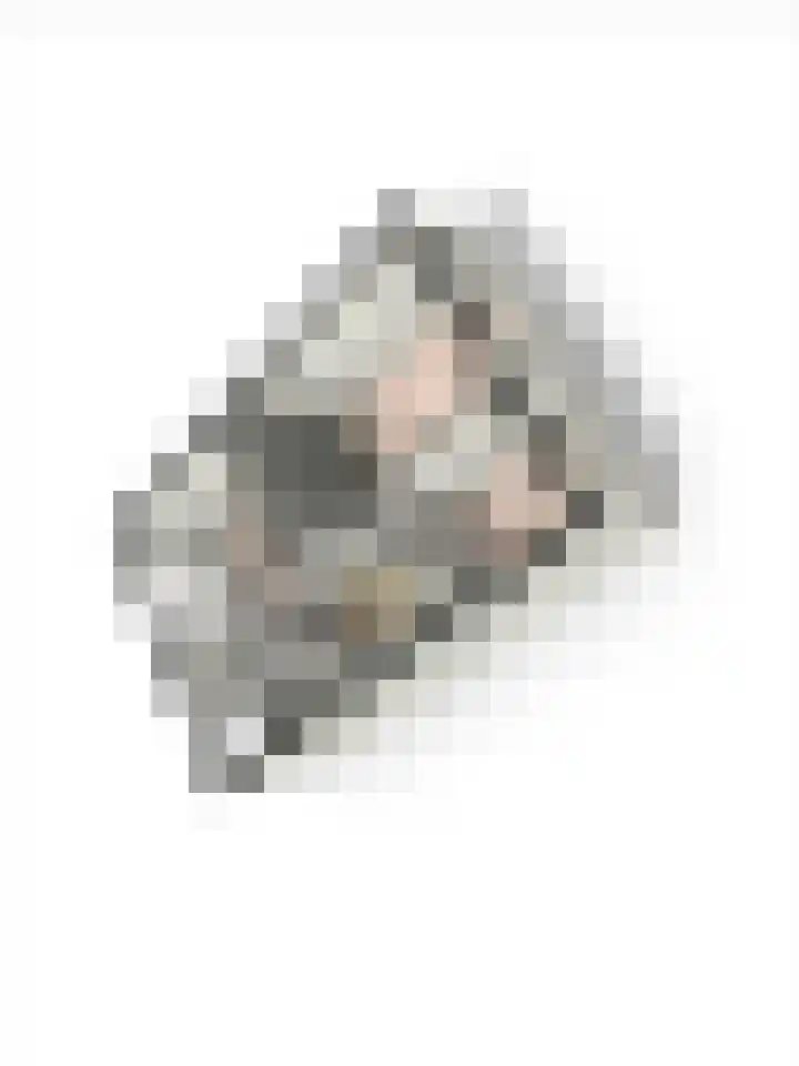Hondsdraf 1 Vroomshoop thumbnail 40