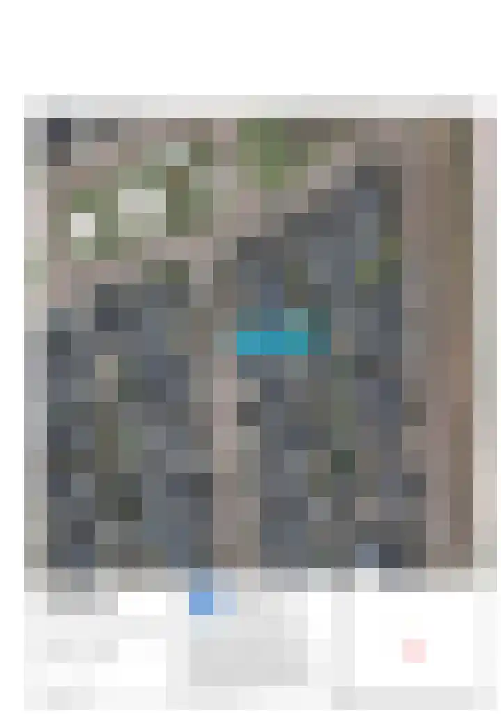 Hondsdraf 1 Vroomshoop thumbnail 43