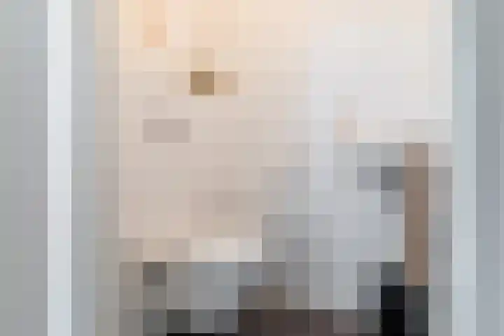 Hondsdraf 1 Vroomshoop thumbnail 7