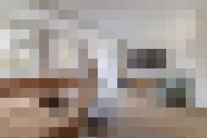 Hondsdraf 1 Vroomshoop thumbnail 9