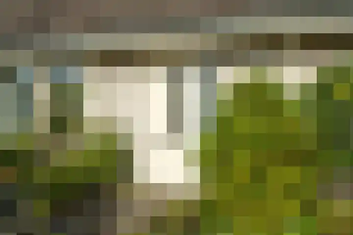 Hondsdraf 12 Delden thumbnail 10