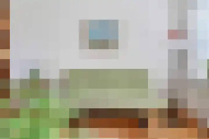 Hondsdraf 12 Delden thumbnail 16