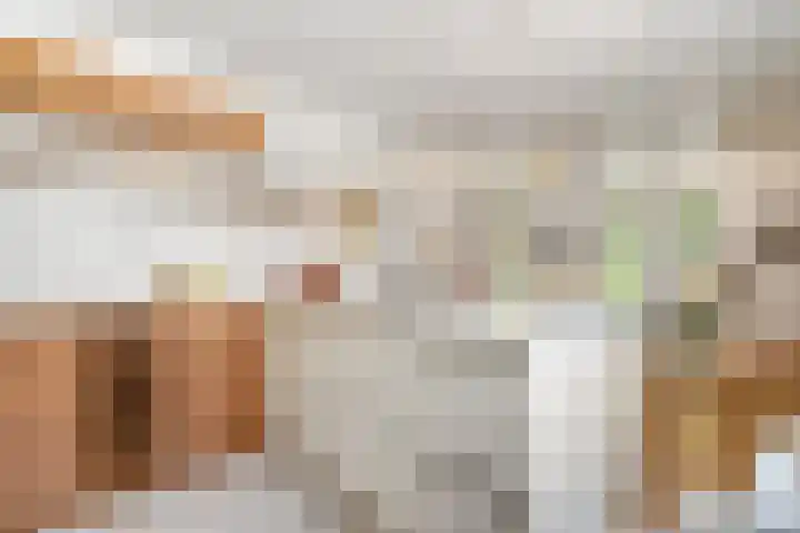 Hondsdraf 12 Delden thumbnail 31