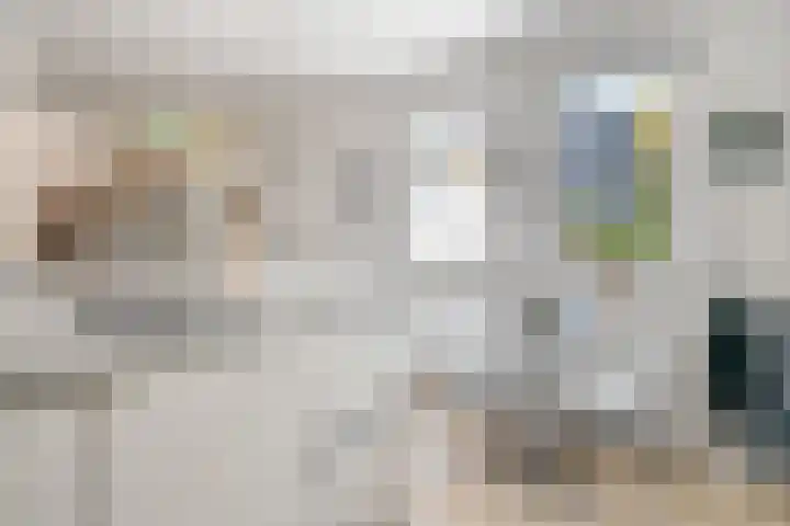 Hondsdraf 12 Delden thumbnail 32