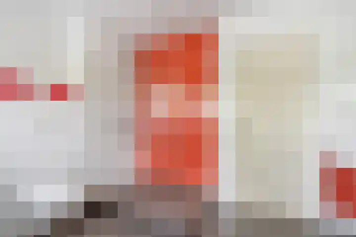 Hondsdraf 12 Delden thumbnail 43