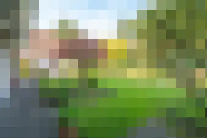 Hondsdraf 12 Delden thumbnail 5