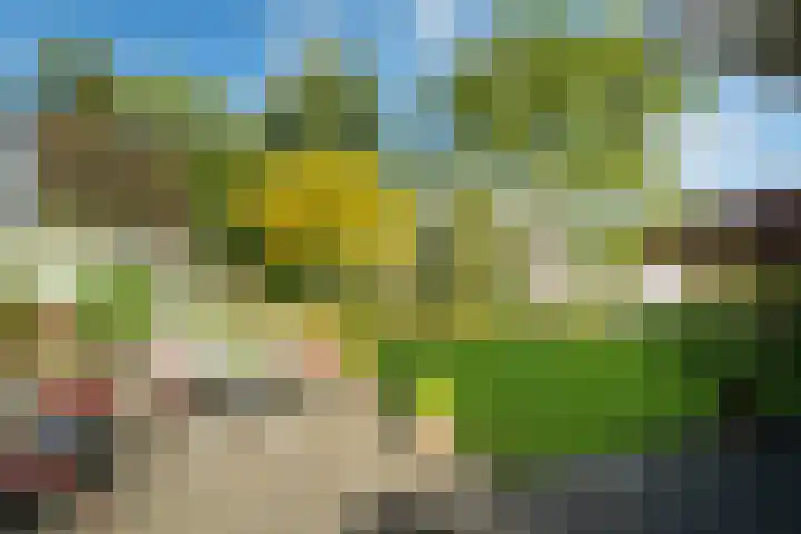 Hondsdraf 12 Delden thumbnail 53