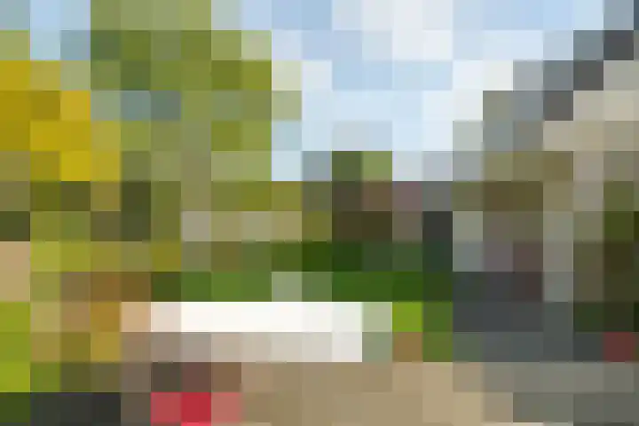 Hondsdraf 12 Delden thumbnail 54