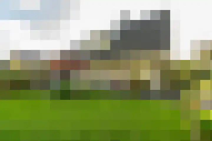 Hondsdraf 12 Delden thumbnail 55