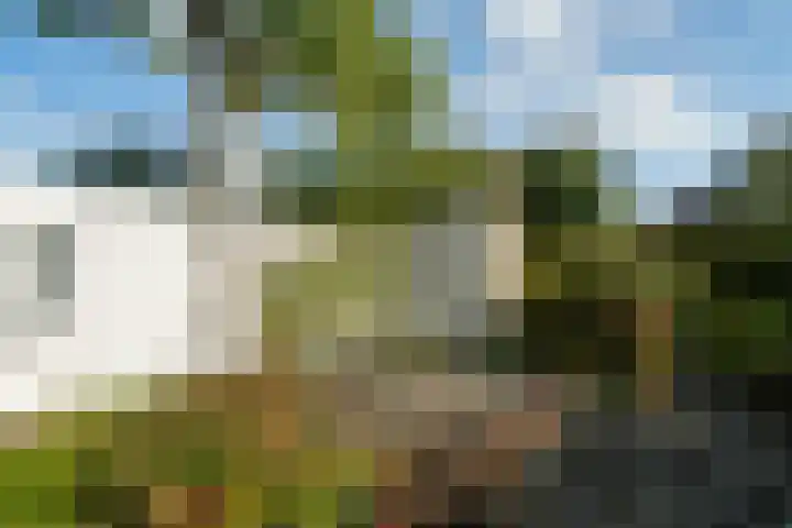 Hondsdraf 12 Delden thumbnail 56
