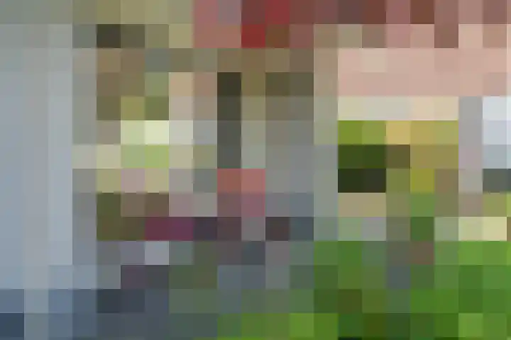 Hondsdraf 12 Delden thumbnail 57
