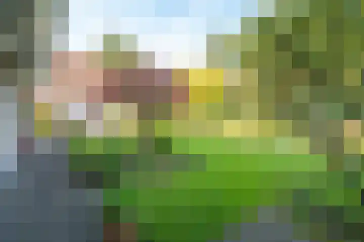 Hondsdraf 12 Delden thumbnail 58