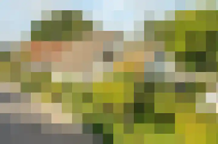 Hondsdraf 12 Delden thumbnail 6