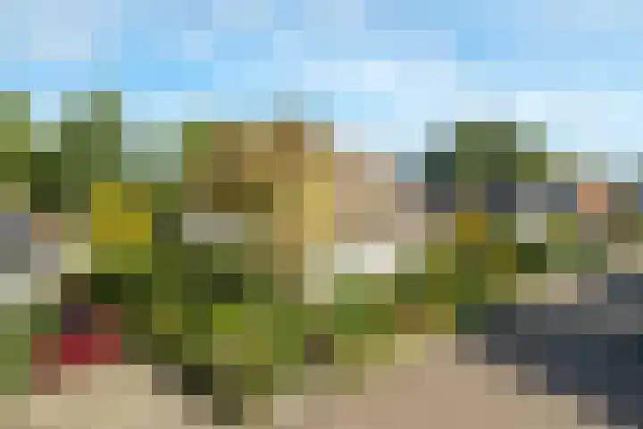 Hondsdraf 12 Delden thumbnail 7