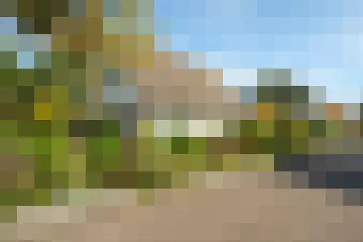Hondsdraf 12 Delden thumbnail 9
