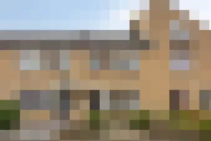 Hondsdraf 15 Terheijden