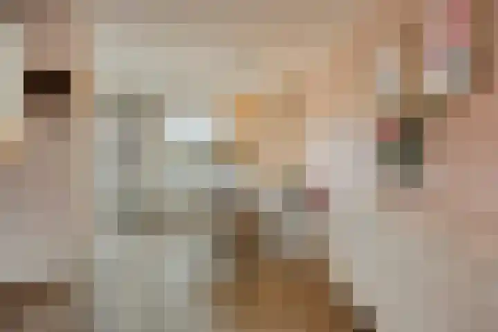 Hondsdraf 15 Terheijden thumbnail 11