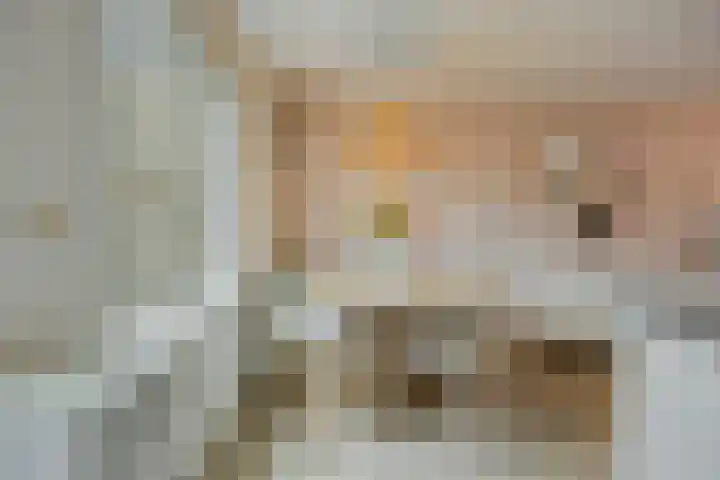 Hondsdraf 15 Terheijden thumbnail 13