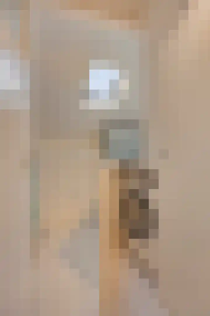 Hondsdraf 15 Terheijden thumbnail 22