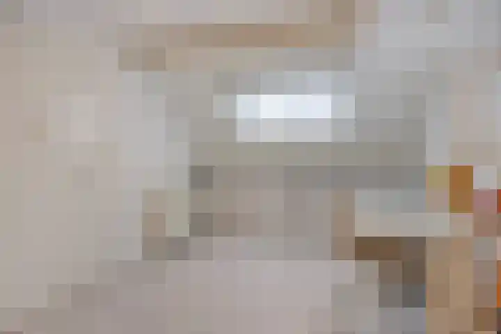 Hondsdraf 15 Terheijden thumbnail 25