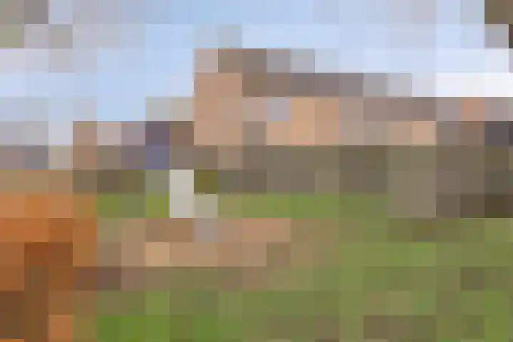 Hondsdraf 15 Terheijden thumbnail 29