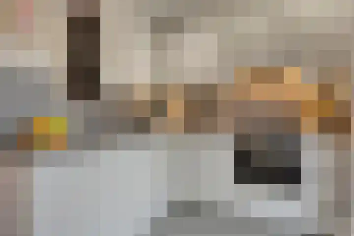 Hondsdraf 15 Terheijden foto 3