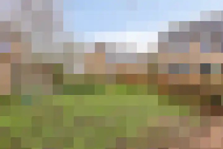 Hondsdraf 15 Terheijden thumbnail 30