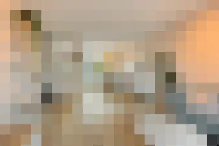 Hondsdraf 15 Terheijden thumbnail 9