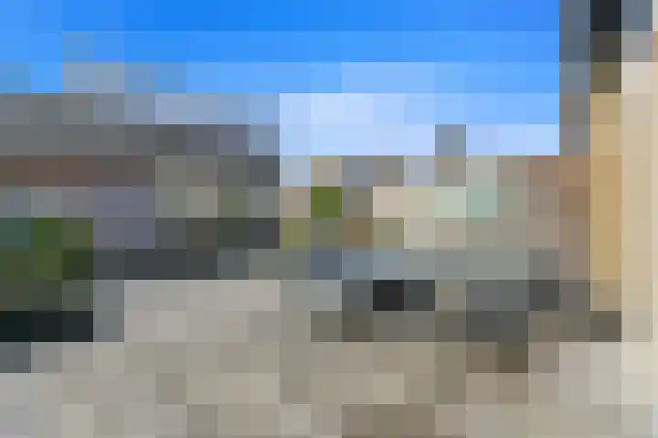 Hondsdraf 21 Maasland thumbnail 11