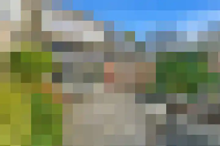 Hondsdraf 21 Maasland thumbnail 12
