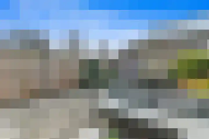 Hondsdraf 21 Maasland thumbnail 15