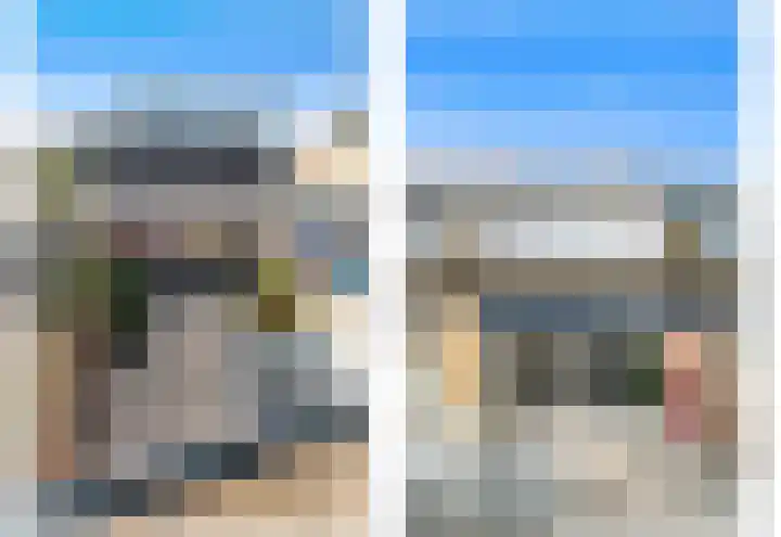 Hondsdraf 21 Maasland thumbnail 16