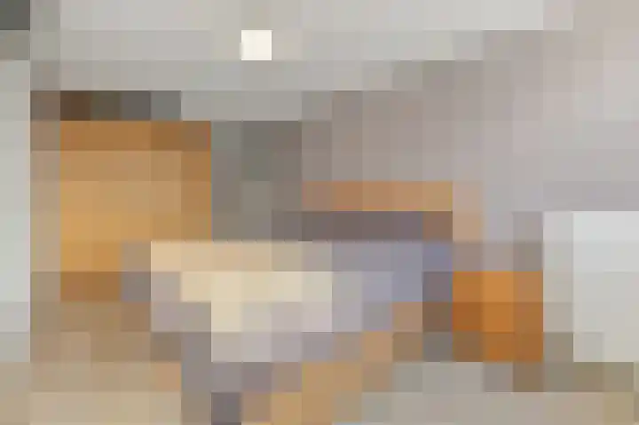 Hondsdraf 21 Maasland thumbnail 27