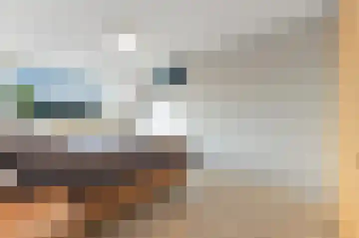 Hondsdraf 21 Maasland thumbnail 28