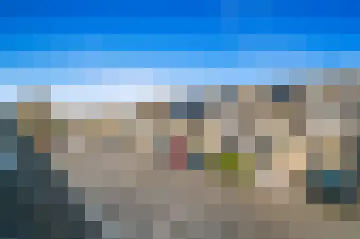 Hondsdraf 21 Maasland thumbnail 32