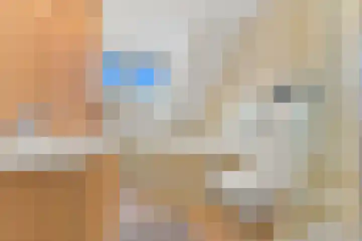 Hondsdraf 21 Maasland thumbnail 34