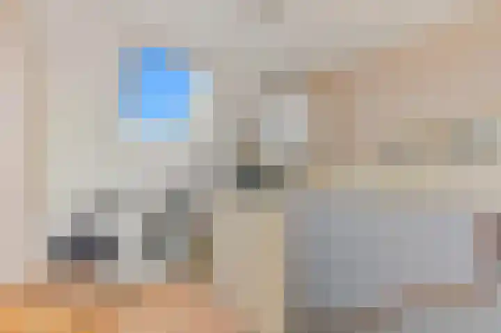 Hondsdraf 21 Maasland thumbnail 38
