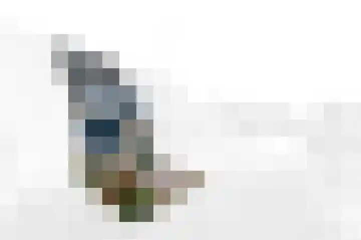 Hondsdraf 21 Maasland thumbnail 4