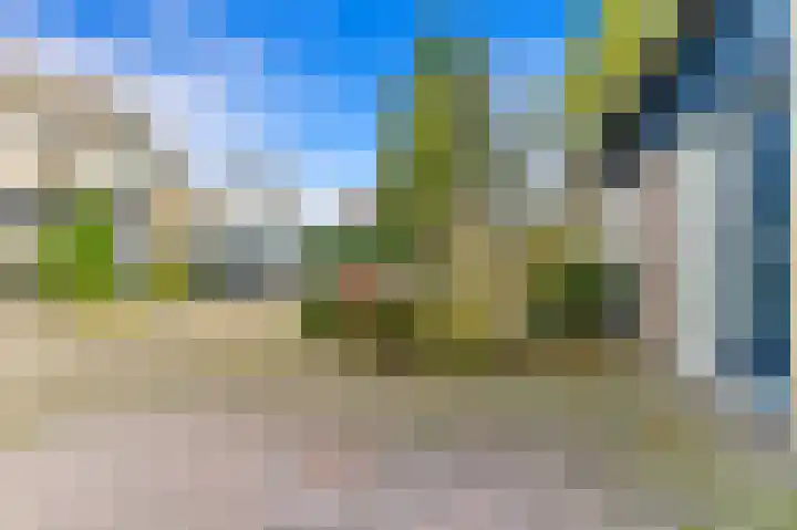 Hondsdraf 21 Maasland thumbnail 5
