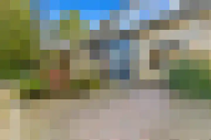 Hondsdraf 21 Maasland thumbnail 6