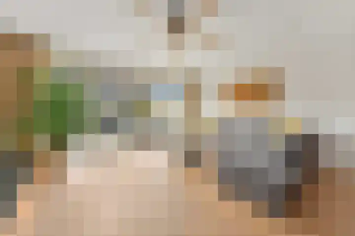 Hondsdraf 21 Maasland thumbnail 8